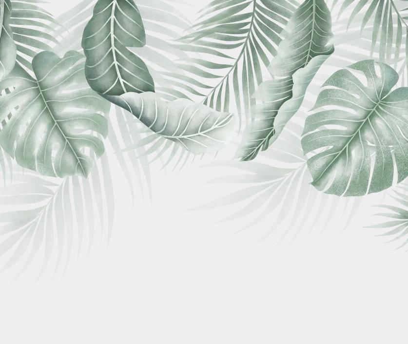 Papier peint feuillage palmier et monstera