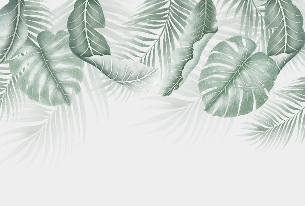 Papier peint feuillage palmier et monstera