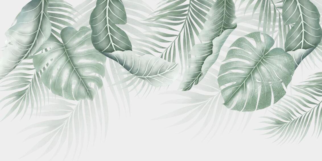 Papier peint feuillage palmier et monstera