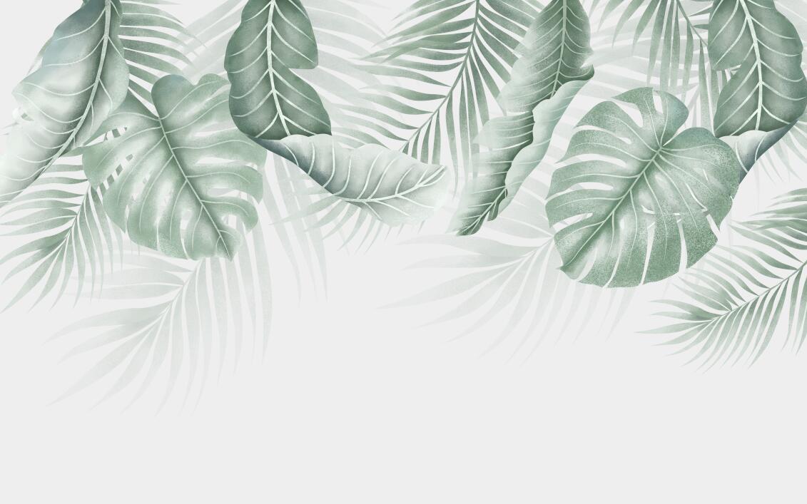 Papier peint feuillage palmier et monstera