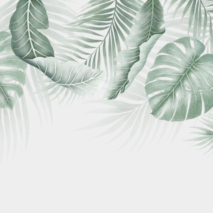 Papier peint feuillage palmier et monstera