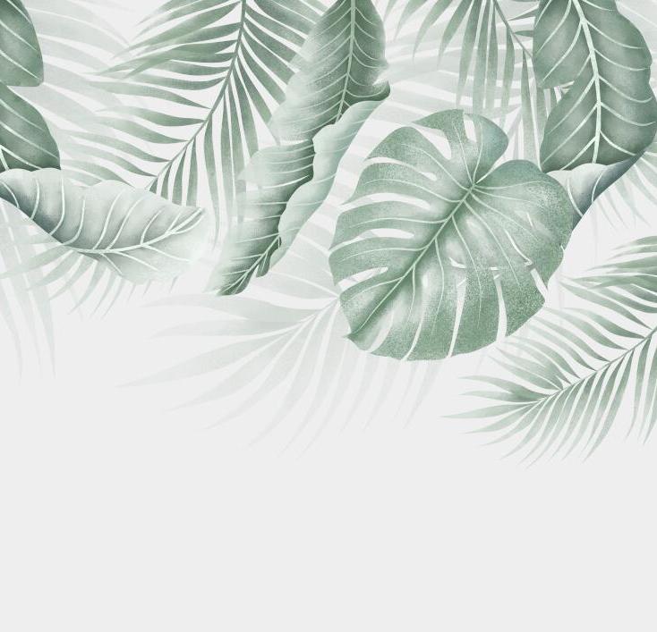Papier peint feuillage palmier et monstera