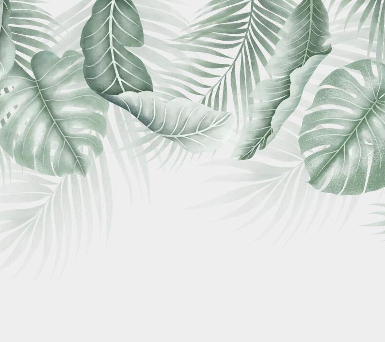 Papier peint feuillage palmier et monstera