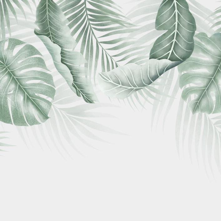 Papier peint feuillage palmier et monstera