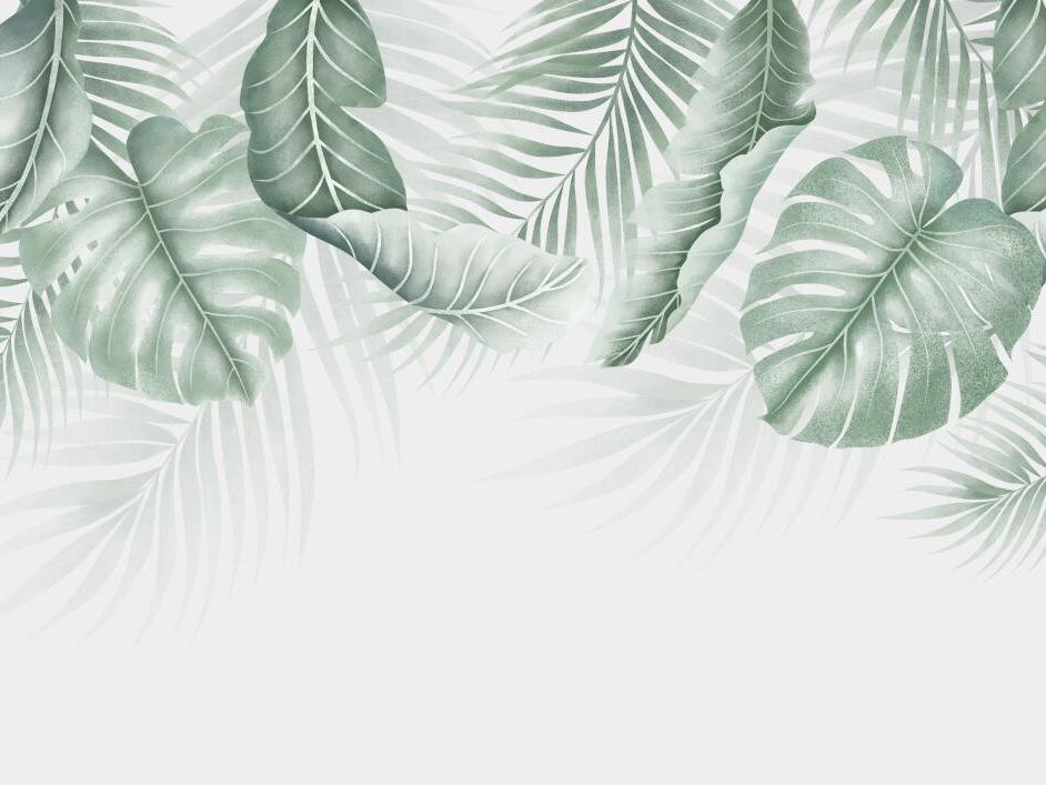 Papier peint feuillage palmier et monstera