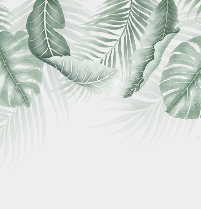 Papier peint feuillage palmier et monstera