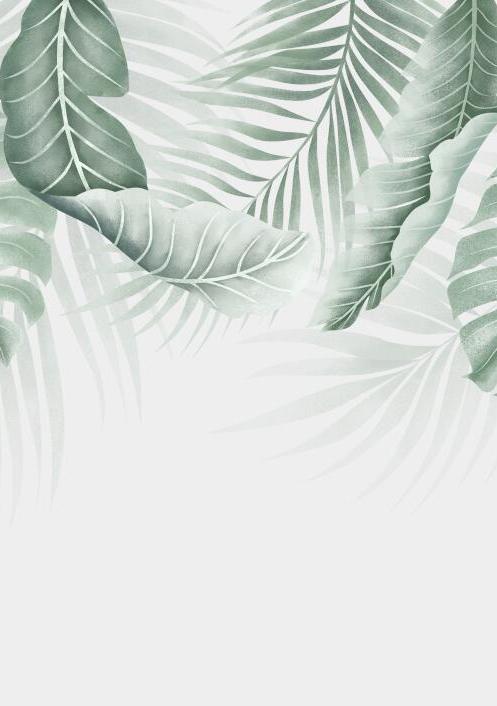 Papier peint feuillage palmier et monstera