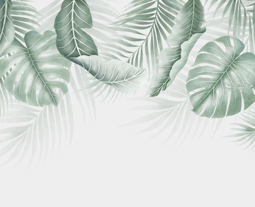 Papier peint feuillage palmier et monstera