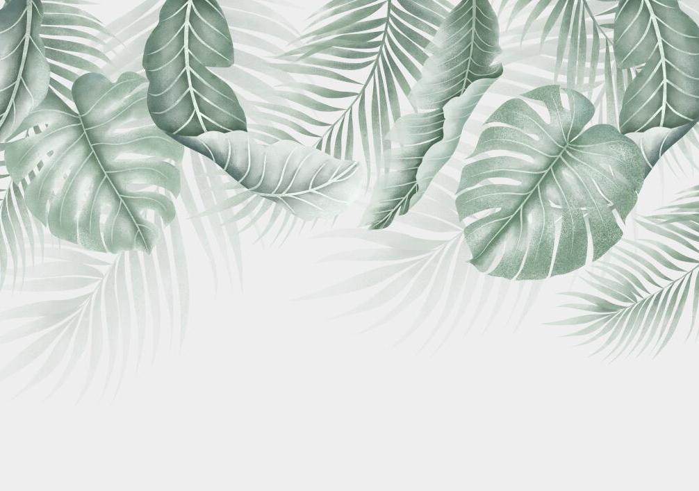 Papier peint feuillage palmier et monstera