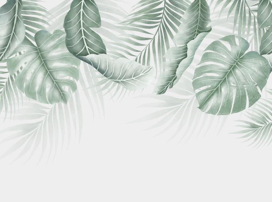 Papier peint feuillage palmier et monstera