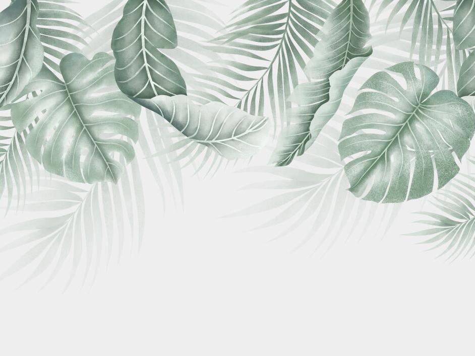 Papier peint feuillage palmier et monstera