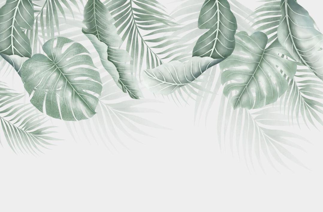 Papier peint feuillage palmier et monstera