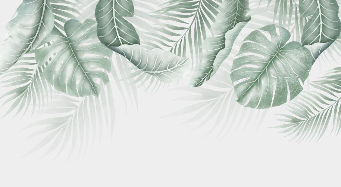 Papier peint feuillage palmier et monstera