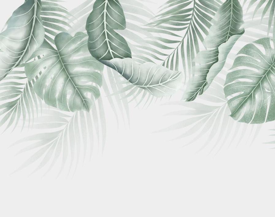 Papier peint feuillage palmier et monstera