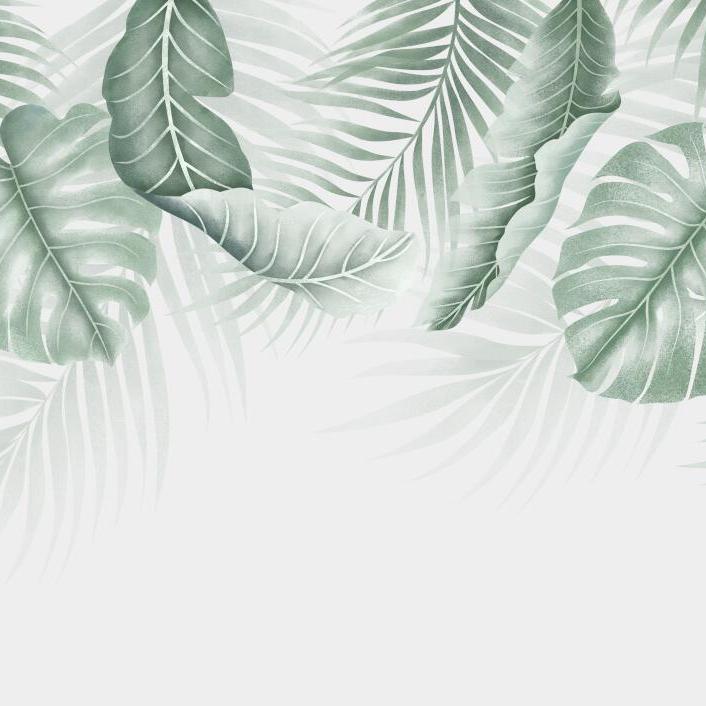 Papier peint feuillage palmier et monstera