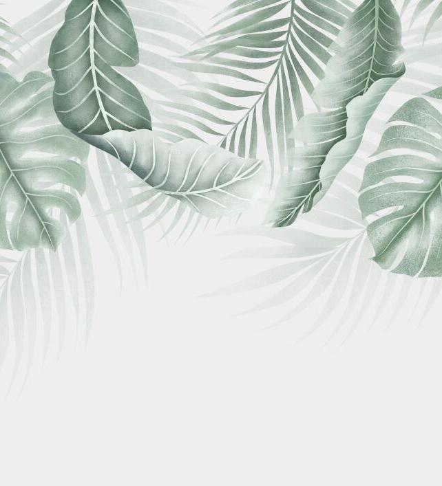 Papier peint feuillage palmier et monstera