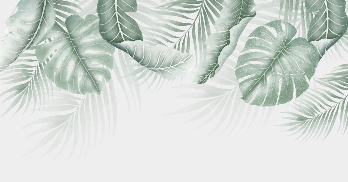 Papier peint feuillage palmier et monstera
