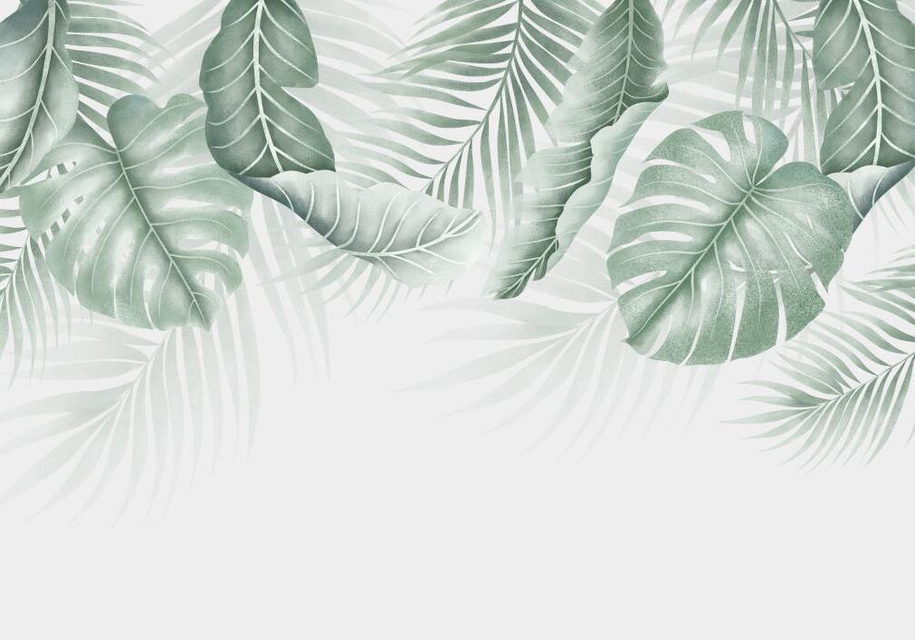 Papier peint feuillage palmier et monstera