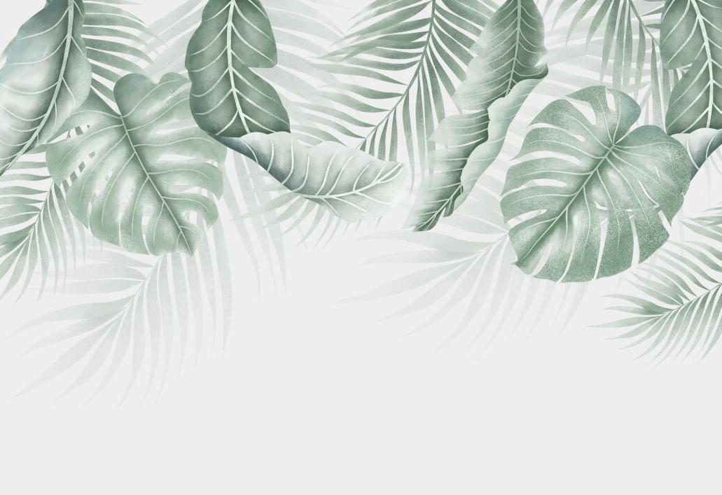 Papier peint feuillage palmier et monstera
