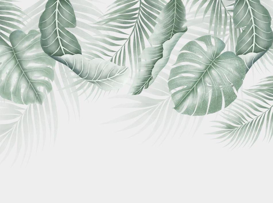 Papier peint feuillage palmier et monstera