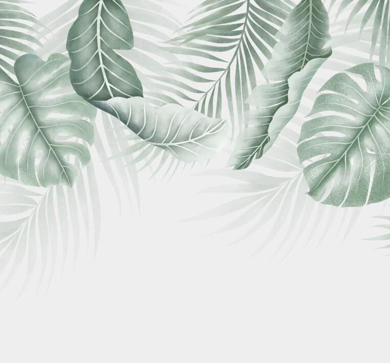 Papier peint feuillage palmier et monstera