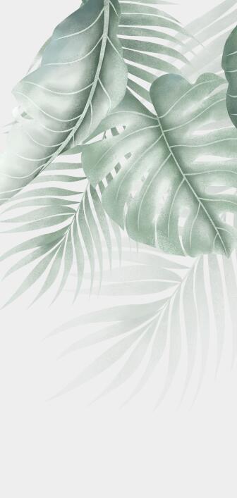 Papier peint feuillage palmier et monstera