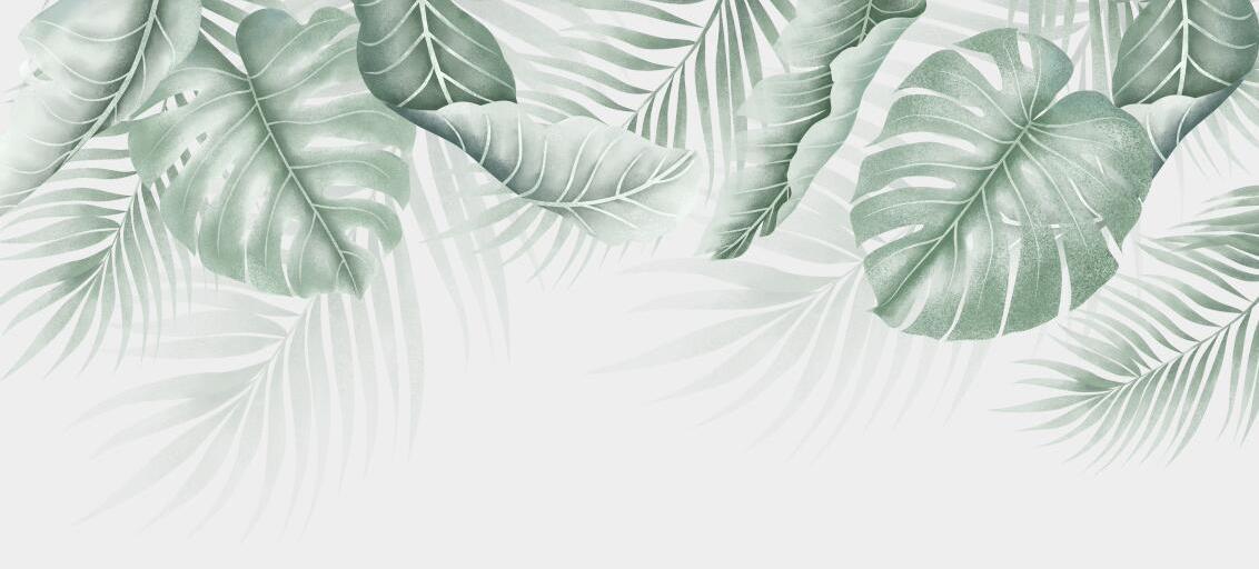 Papier peint feuillage palmier et monstera
