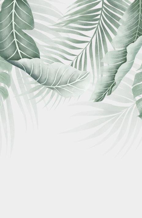 Papier peint feuillage palmier et monstera