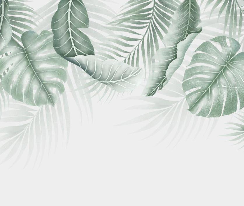 Papier peint feuillage palmier et monstera