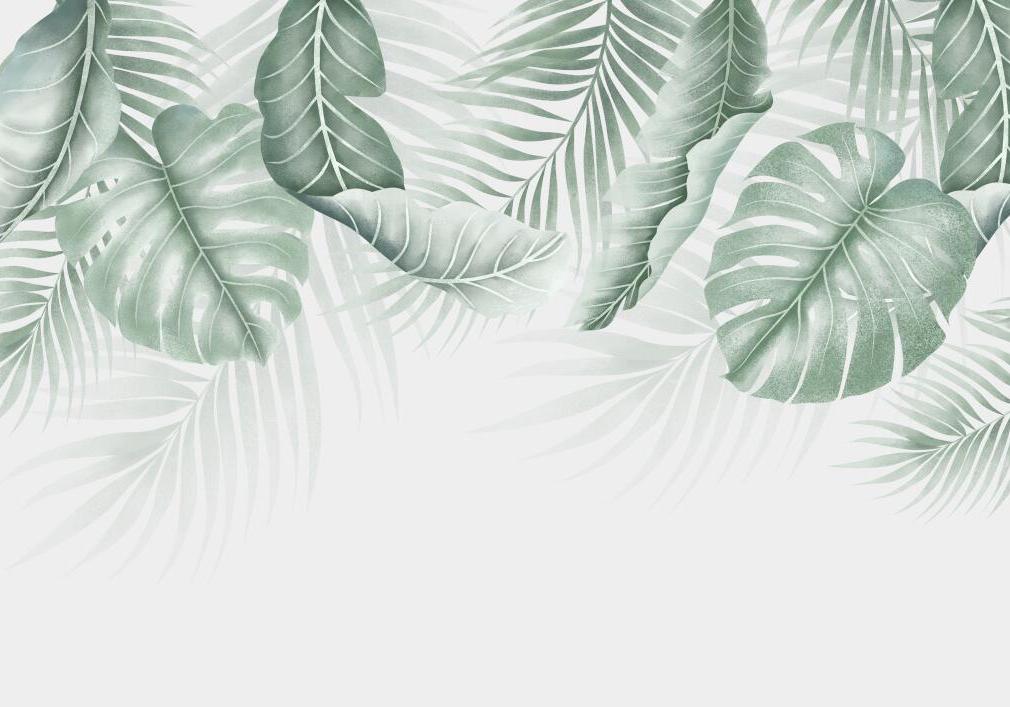 Papier peint feuillage palmier et monstera