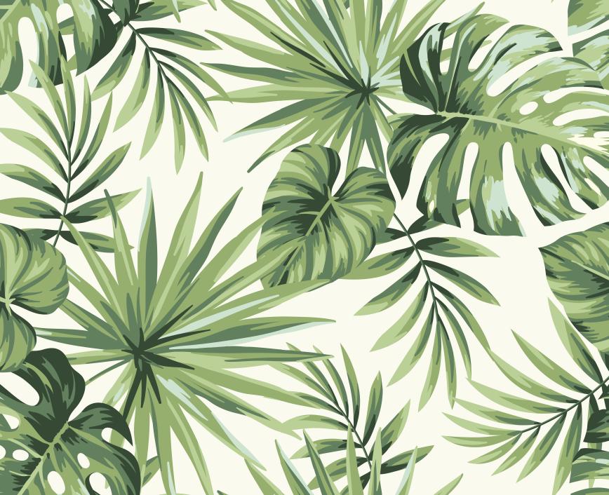 Papier peint feuillage tropical monstera vert