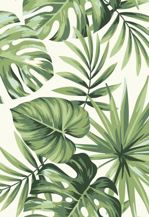 Papier peint feuillage tropical monstera vert