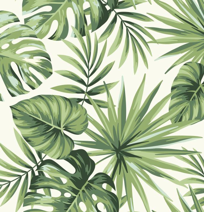 Papier peint feuillage tropical monstera vert