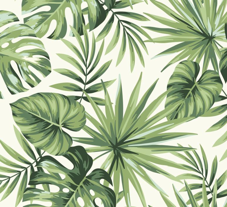Papier peint feuillage tropical monstera vert