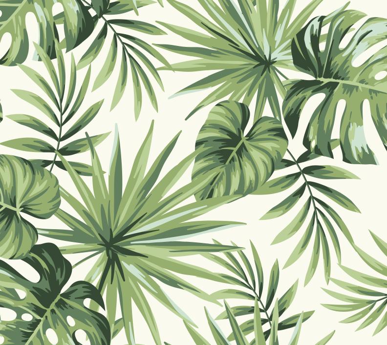 Papier peint feuillage tropical monstera vert