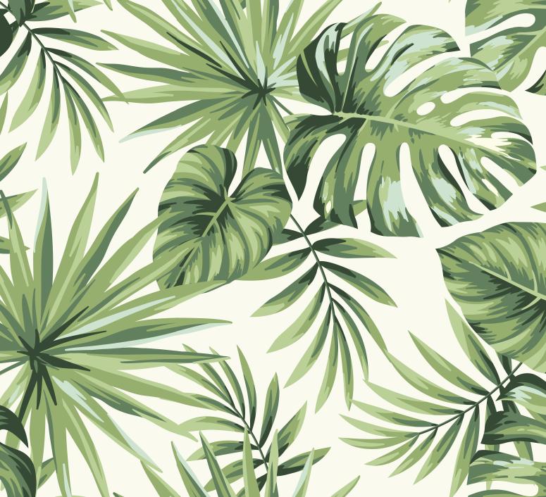 Papier peint feuillage tropical monstera vert