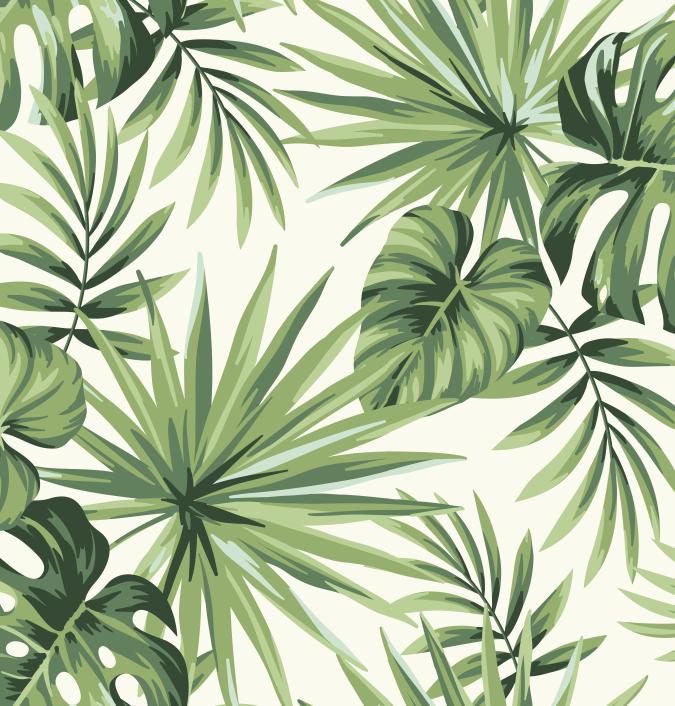 Papier peint feuillage tropical monstera vert