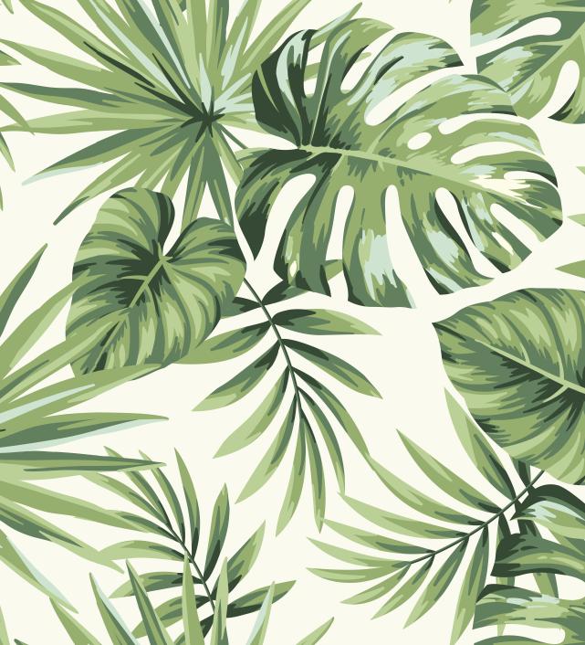 Papier peint feuillage tropical monstera vert