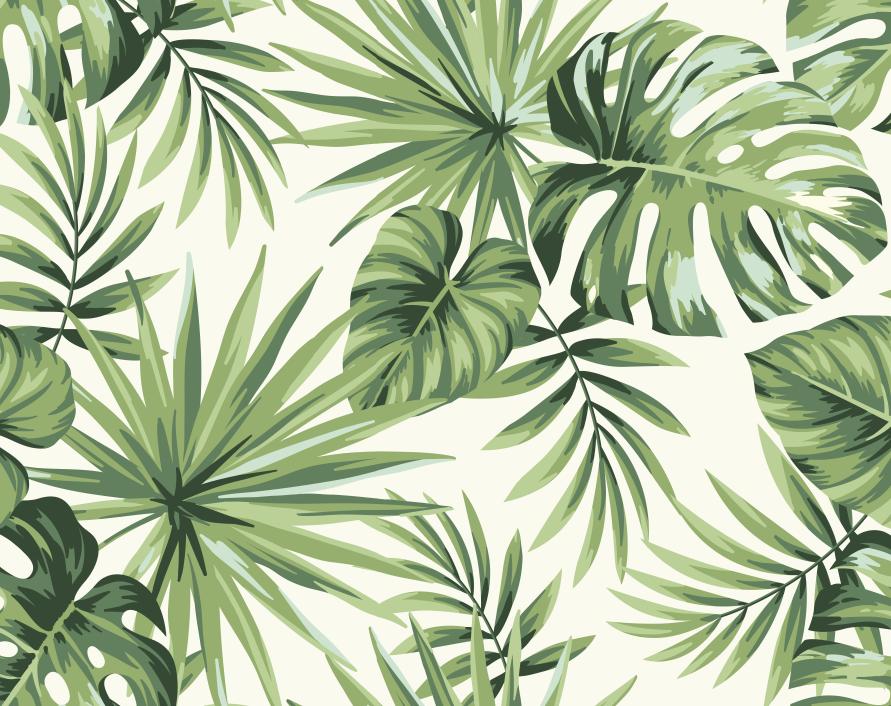 Papier peint feuillage tropical monstera vert