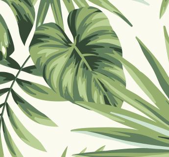 Papier peint feuillage tropical monstera vert