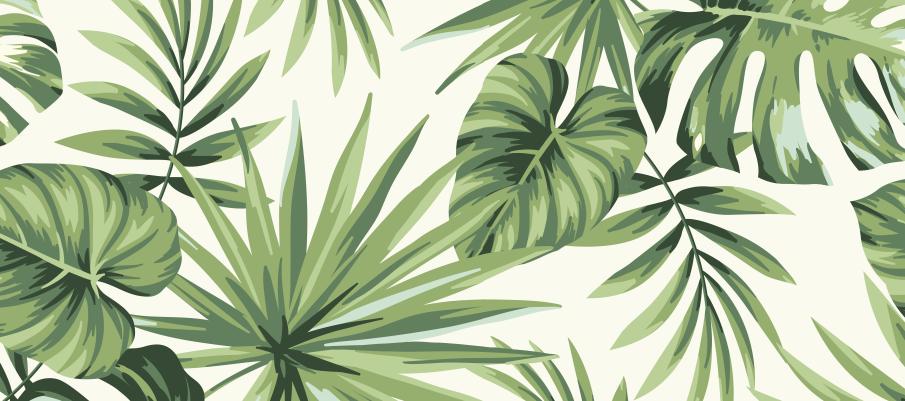 Papier peint feuillage tropical monstera vert