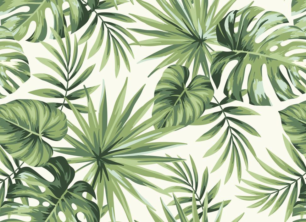 Papier peint feuillage tropical monstera vert