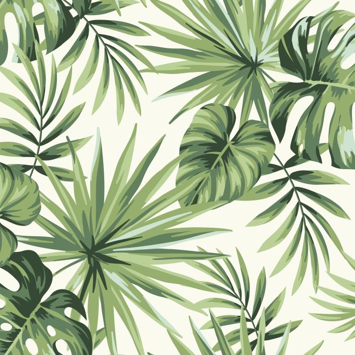 Papier peint feuillage tropical monstera vert
