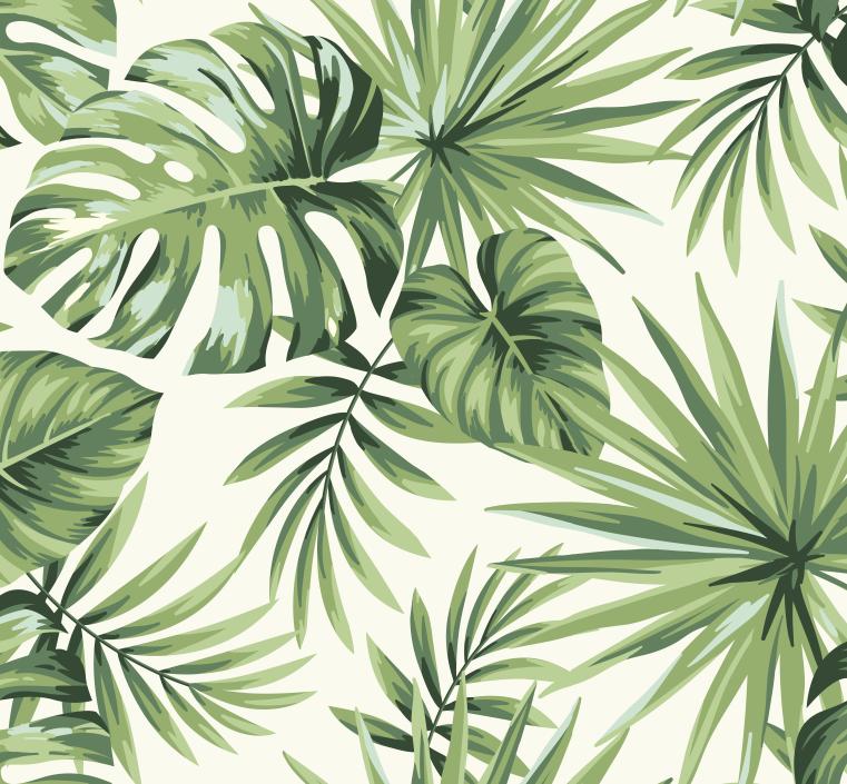 Papier peint feuillage tropical monstera vert