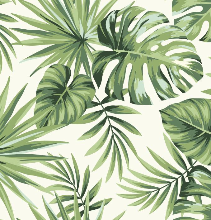 Papier peint feuillage tropical monstera vert