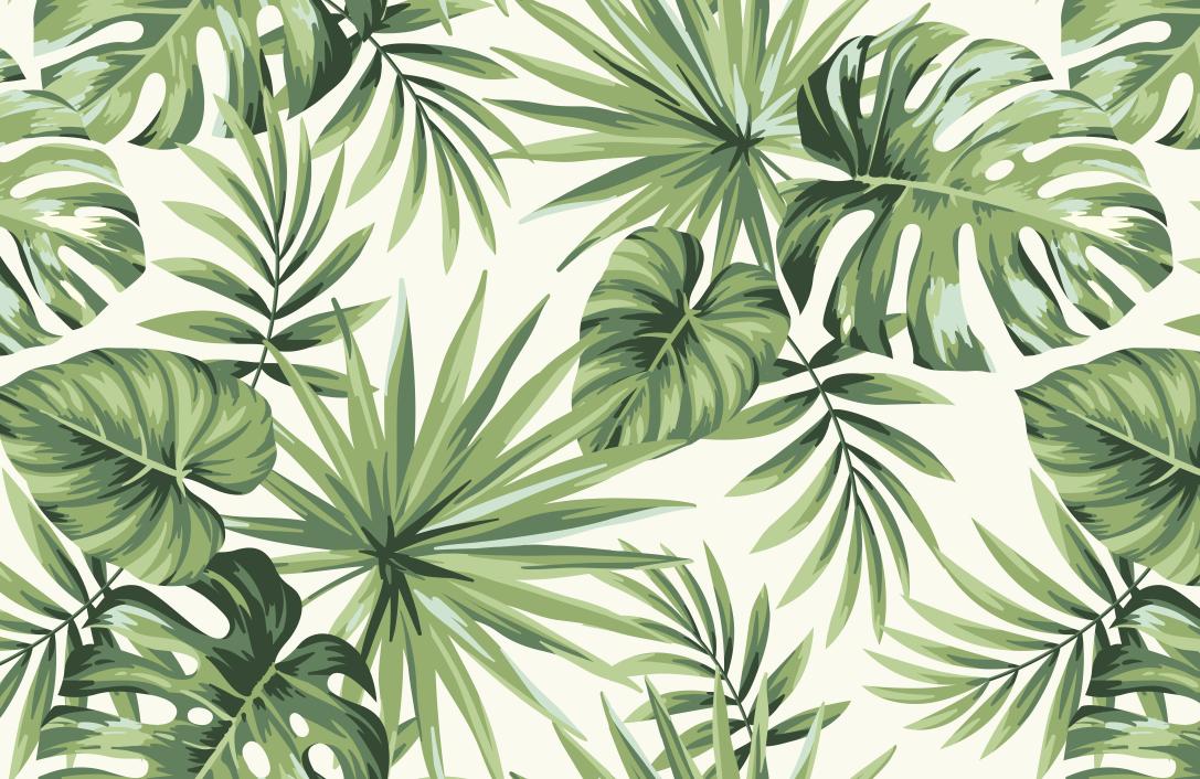 Papier peint feuillage tropical monstera vert