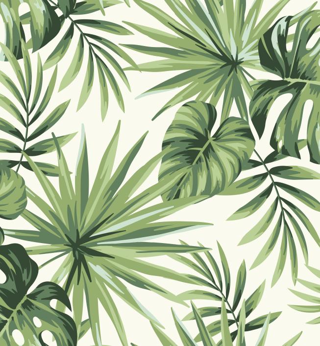 Papier peint feuillage tropical monstera vert