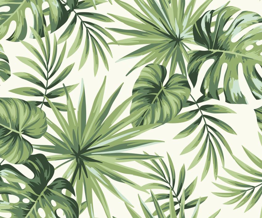 Papier peint feuillage tropical monstera vert