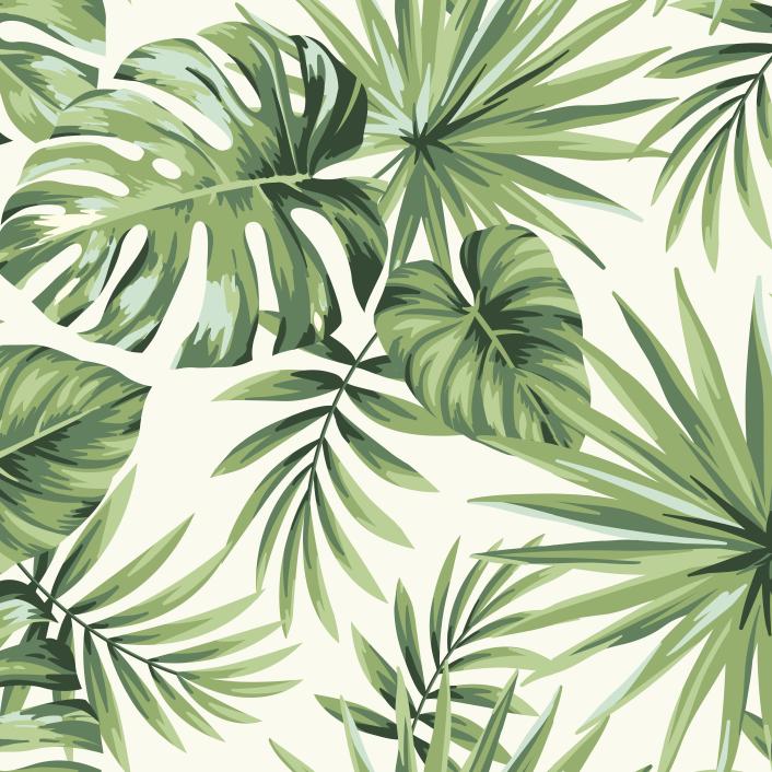 Papier peint feuillage tropical monstera vert