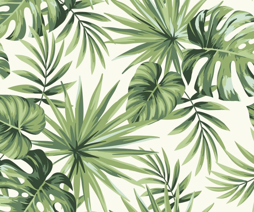 Papier peint feuillage tropical monstera vert
